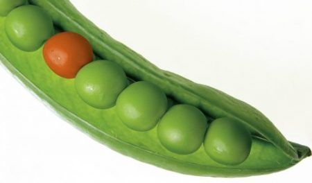 What is your MSP’s Point of Difference?